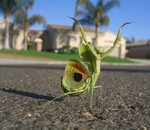 Avatar de l’utilisateur