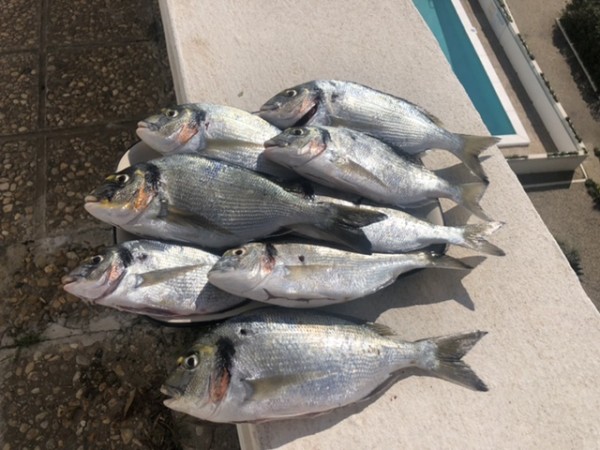 82C10054-0E28-49B2-BFC1-C5D9032A9472.jpeg (127.04 Kio) Vu 1545 fois 82C10054-0E28-49B2-BFC1-C5D9032A9472.jpeg