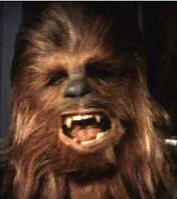 chewbacca.jpg chewbacca.jpg